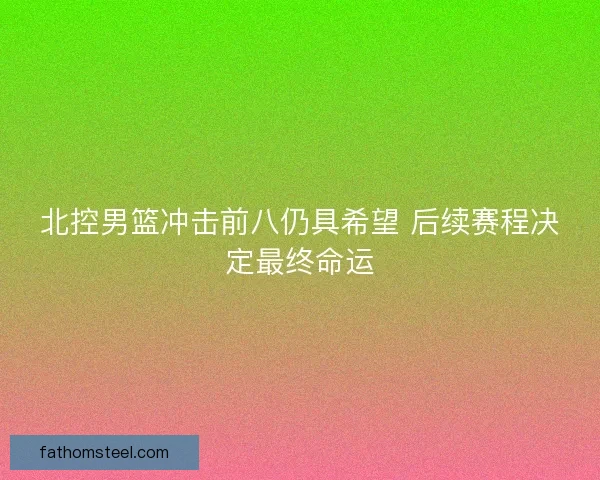 北控男篮冲击前八仍具希望 后续赛程决定最终命运