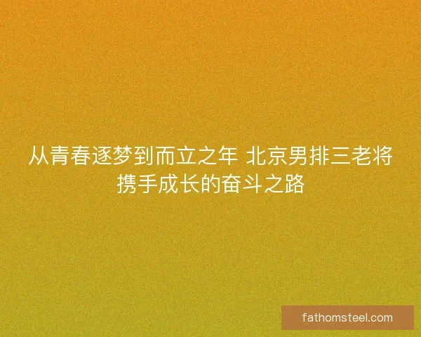 从青春逐梦到而立之年 北京男排三老将携手成长的奋斗之路 从青春逐梦到而立之年 北京男排三老将携手成长的奋斗之路