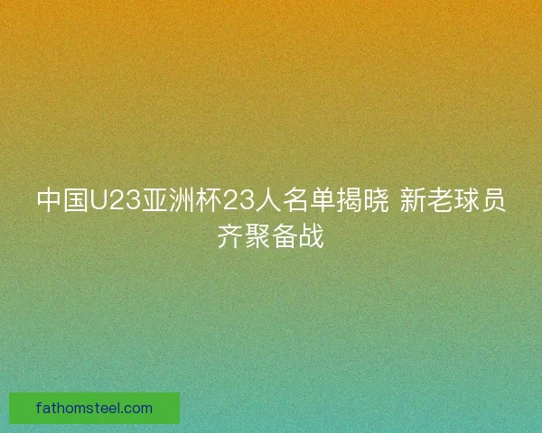 中国U23亚洲杯23人名单揭晓 新老球员齐聚备战